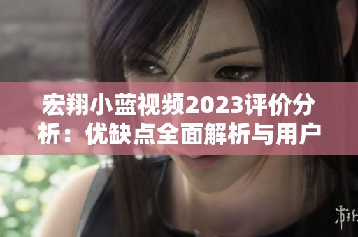 宏翔小蓝视频2023评价分析：优缺点全面解析与用户反馈解读