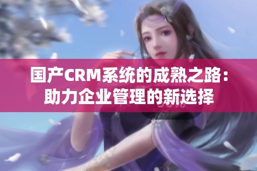 国产CRM系统的成熟之路：助力企业管理的新选择