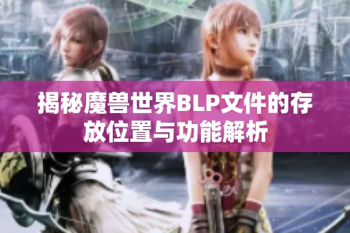 揭秘魔兽世界BLP文件的存放位置与功能解析