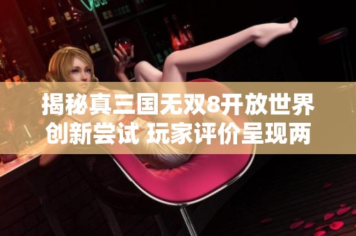 揭秘真三国无双8开放世界创新尝试 玩家评价呈现两极分化现象