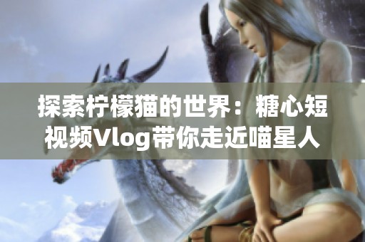 探索柠檬猫的世界：糖心短视频Vlog带你走近喵星人生活