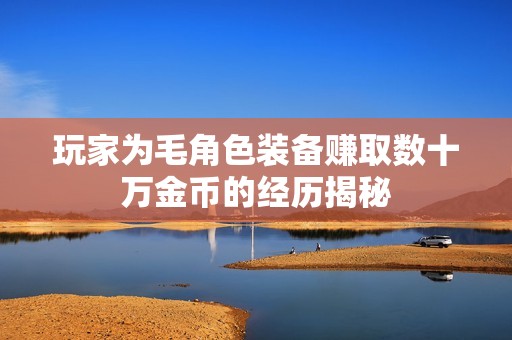 玩家为毛角色装备赚取数十万金币的经历揭秘