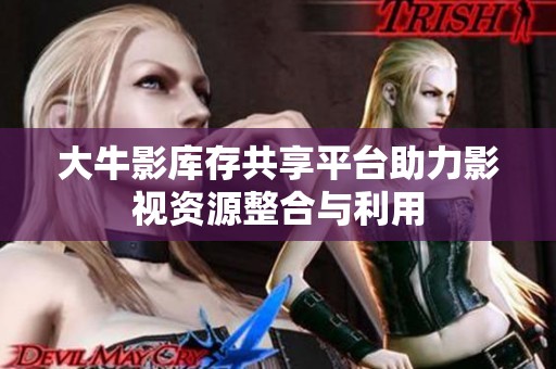 大牛影库存共享平台助力影视资源整合与利用