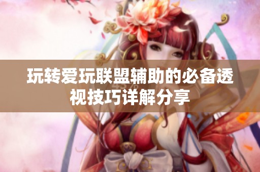 玩转爱玩联盟辅助的必备透视技巧详解分享
