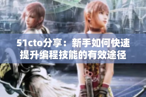 51cto分享：新手如何快速提升编程技能的有效途径