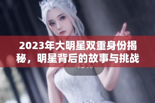 2023年大明星双重身份揭秘，明星背后的故事与挑战