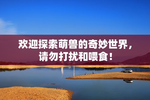 欢迎探索萌兽的奇妙世界，请勿打扰和喂食！