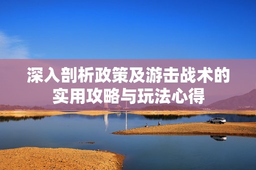 深入剖析政策及游击战术的实用攻略与玩法心得