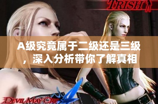 A级究竟属于二级还是三级，深入分析带你了解真相