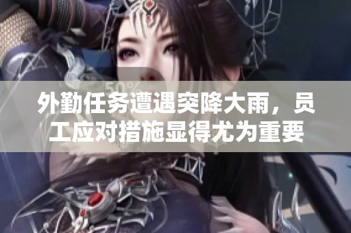 外勤任务遭遇突降大雨，员工应对措施显得尤为重要