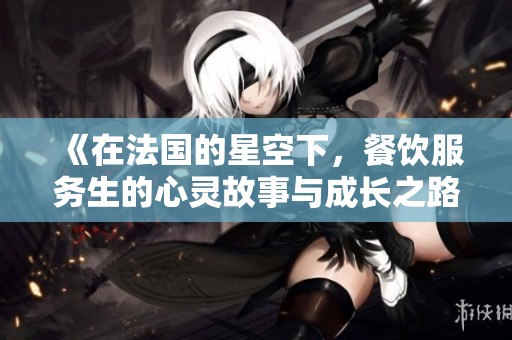 《在法国的星空下，餐饮服务生的心灵故事与成长之路》