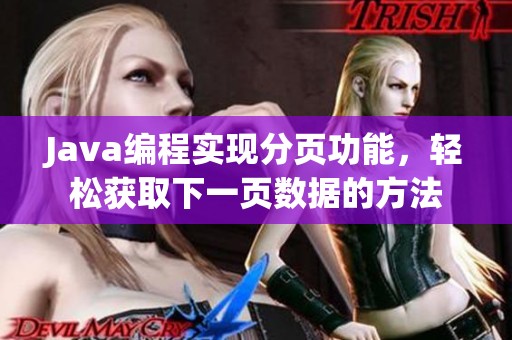 Java编程实现分页功能，轻松获取下一页数据的方法
