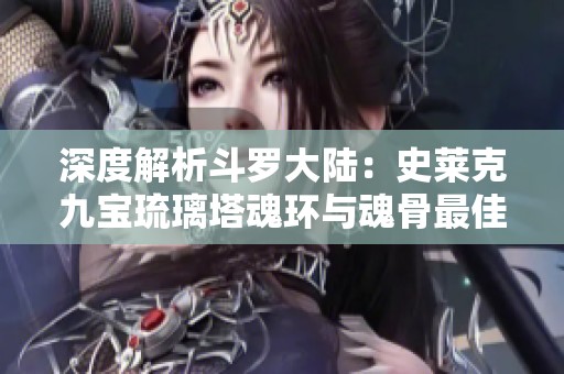 深度解析斗罗大陆：史莱克九宝琉璃塔魂环与魂骨最佳搭配攻略