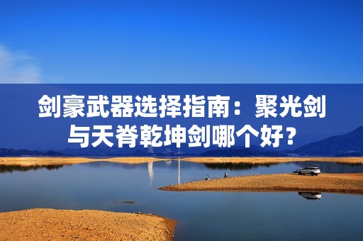 剑豪武器选择指南：聚光剑与天脊乾坤剑哪个好？