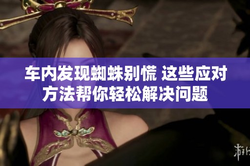 车内发现蜘蛛别慌 这些应对方法帮你轻松解决问题