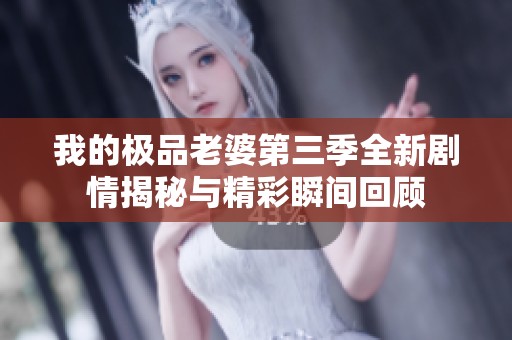 我的极品老婆第三季全新剧情揭秘与精彩瞬间回顾
