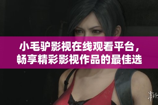 小毛驴影视在线观看平台，畅享精彩影视作品的最佳选择