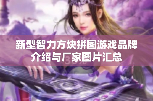 新型智力方块拼图游戏品牌介绍与厂家图片汇总