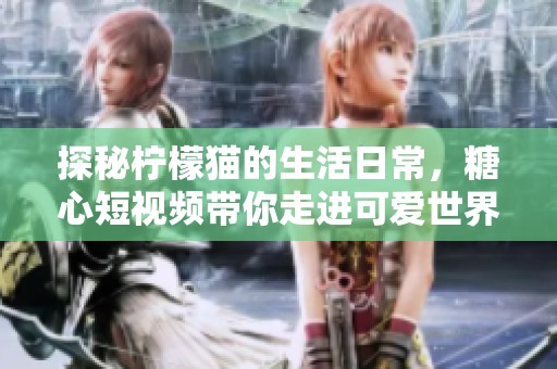 探秘柠檬猫的生活日常，糖心短视频带你走进可爱世界