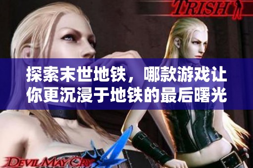 探索末世地铁，哪款游戏让你更沉浸于地铁的最后曙光？
