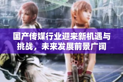国产传媒行业迎来新机遇与挑战，未来发展前景广阔