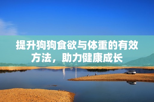 提升狗狗食欲与体重的有效方法，助力健康成长