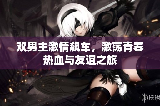 双男主激情飙车，激荡青春热血与友谊之旅