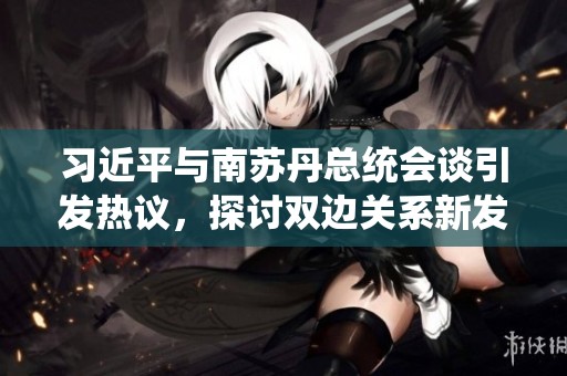 习近平与南苏丹总统会谈引发热议，探讨双边关系新发展