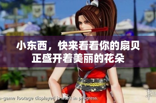 小东西，快来看看你的扇贝正盛开着美丽的花朵
