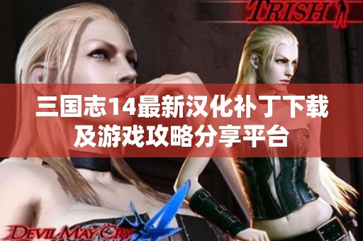 三国志14最新汉化补丁下载及游戏攻略分享平台