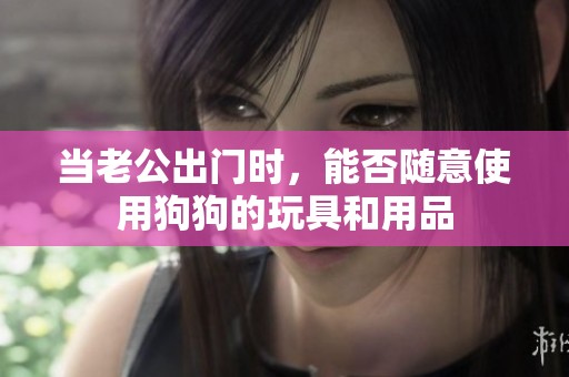当老公出门时，能否随意使用狗狗的玩具和用品