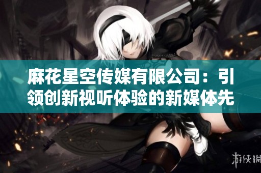 麻花星空传媒有限公司：引领创新视听体验的新媒体先锋