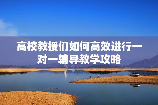 高校教授们如何高效进行一对一辅导教学攻略