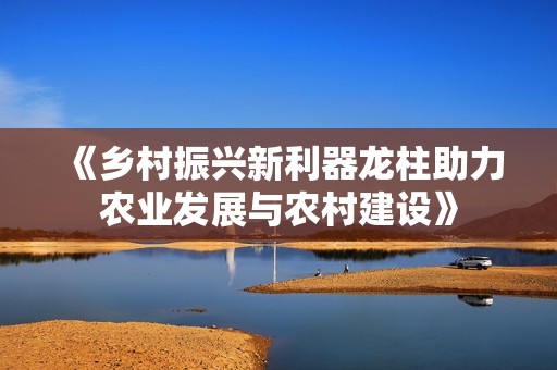 《乡村振兴新利器龙柱助力农业发展与农村建设》