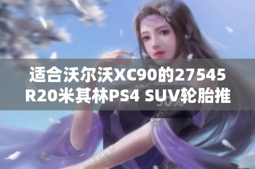 适合沃尔沃XC90的27545R20米其林PS4 SUV轮胎推荐
