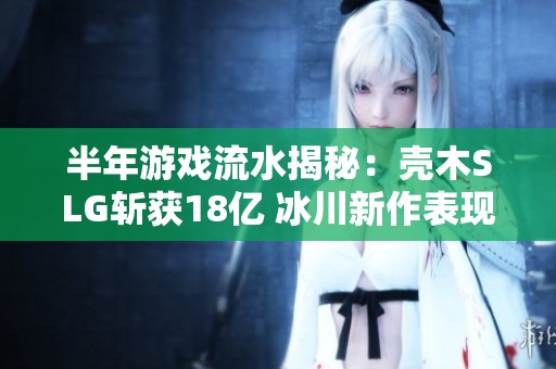 半年游戏流水揭秘：壳木SLG斩获18亿 冰川新作表现惊人