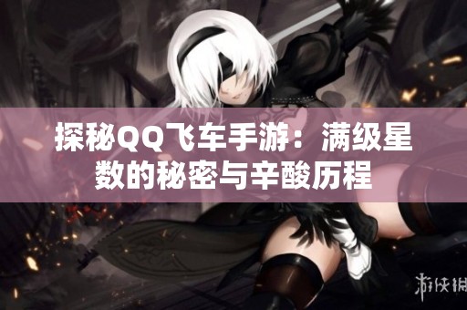 探秘QQ飞车手游：满级星数的秘密与辛酸历程