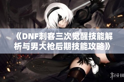 《DNF刺客三次觉醒技能解析与男大枪后期技能攻略》