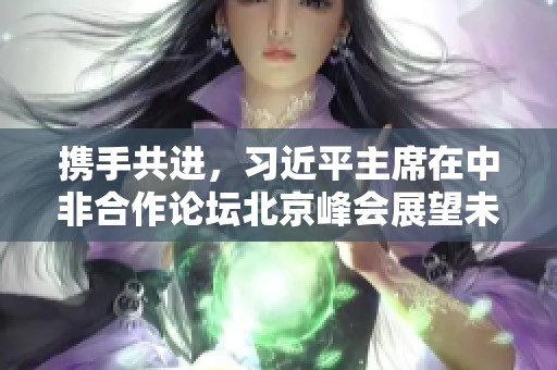 携手共进，习近平主席在中非合作论坛北京峰会展望未来发展之路