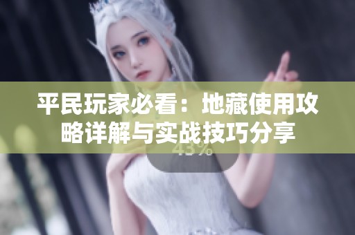 平民玩家必看：地藏使用攻略详解与实战技巧分享