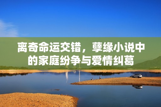 离奇命运交错，孽缘小说中的家庭纷争与爱情纠葛