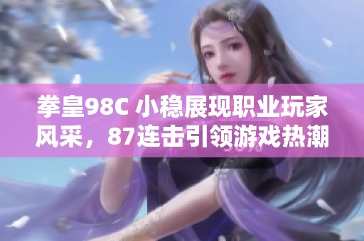 拳皇98C 小稳展现职业玩家风采，87连击引领游戏热潮