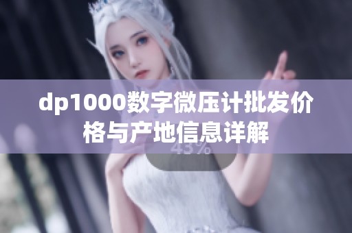 dp1000数字微压计批发价格与产地信息详解