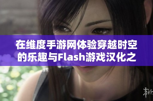 在维度手游网体验穿越时空的乐趣与Flash游戏汉化之旅