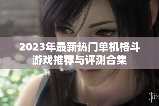 2023年最新热门单机格斗游戏推荐与评测合集