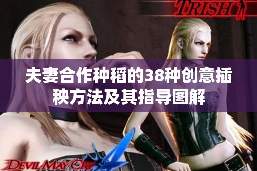 夫妻合作种稻的38种创意插秧方法及其指导图解