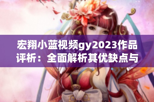 宏翔小蓝视频gy2023作品评析：全面解析其优缺点与市场表现