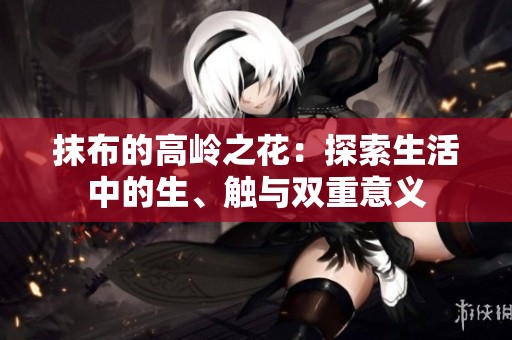 抹布的高岭之花：探索生活中的生、触与双重意义