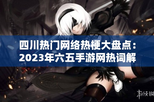 四川热门网络热梗大盘点：2023年六五手游网热词解析