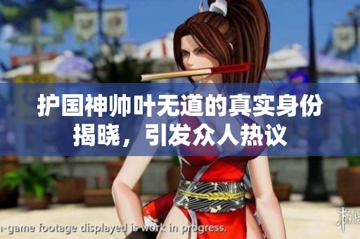 护国神帅叶无道的真实身份揭晓，引发众人热议